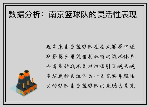 数据分析：南京篮球队的灵活性表现