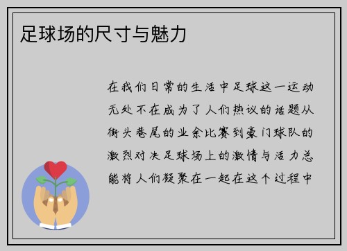 足球场的尺寸与魅力